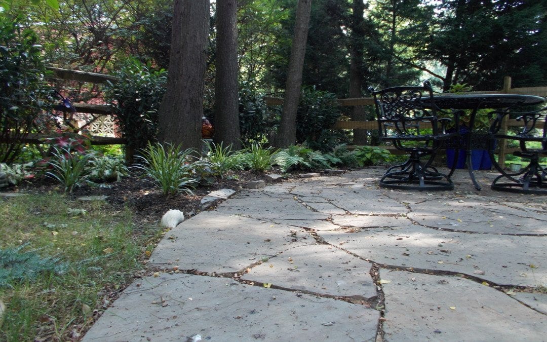 polymeric sand or stone dust?, flagstone joints