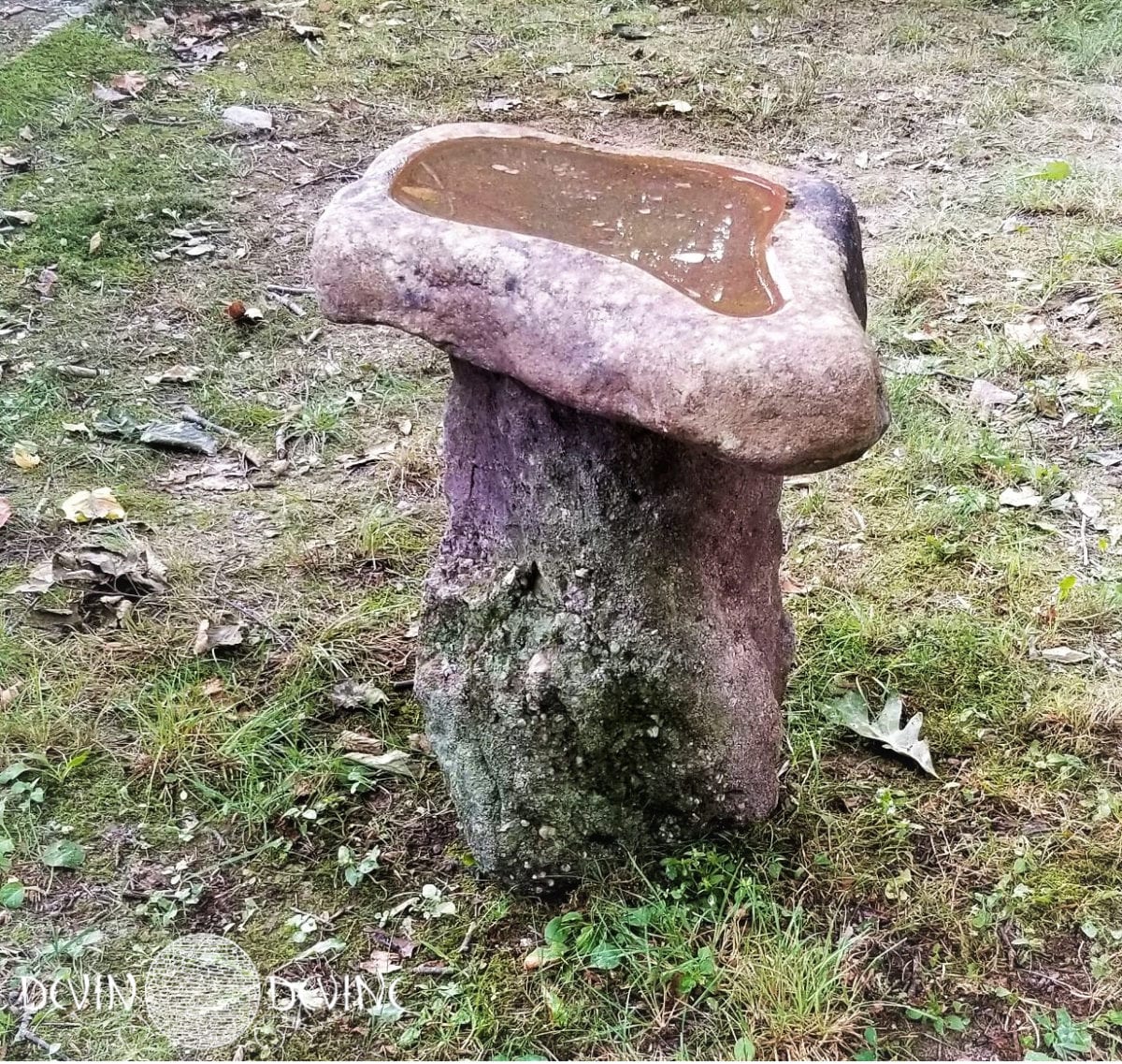 hand carved stone bird bath